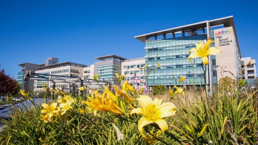 Picture of Mission Bay 4th Street Park